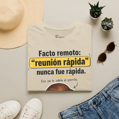 Camiseta: FACTO Remoto reunion 💻