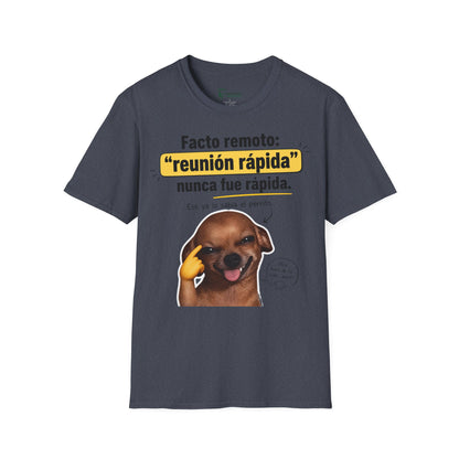 Camiseta: FACTO Remoto reunion 💻