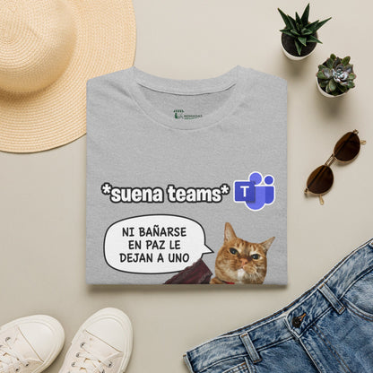 Baño y teams