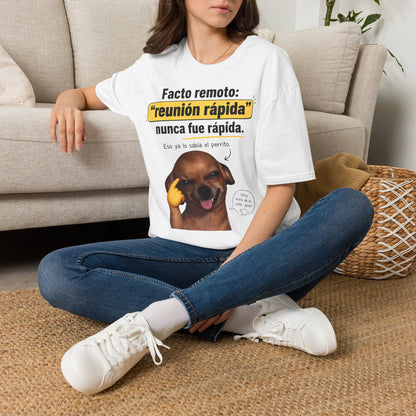Camiseta: FACTO Remoto reunion 💻