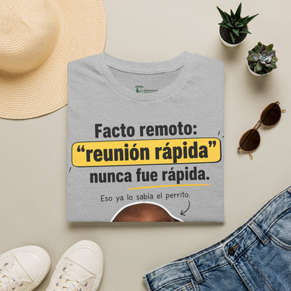 Camiseta: FACTO Remoto reunion 💻